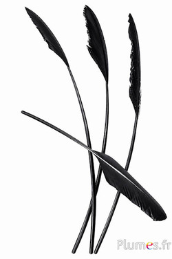 Schwan Pfeilform - 35-40 cm - schwarz